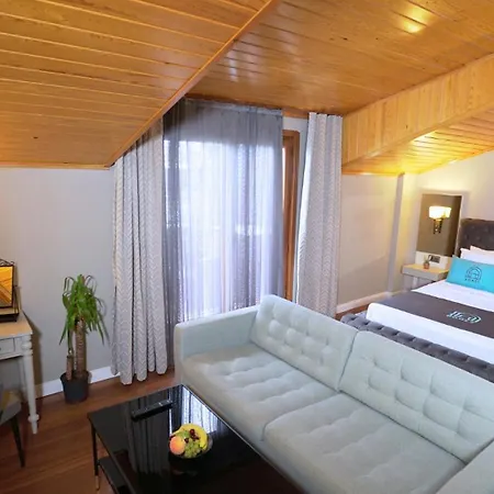 Homey Airport 4*