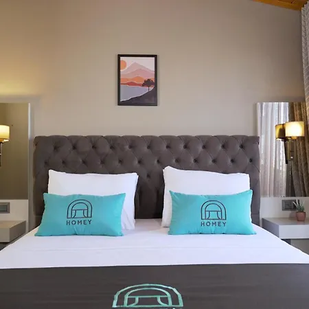Homey Airport Hotel