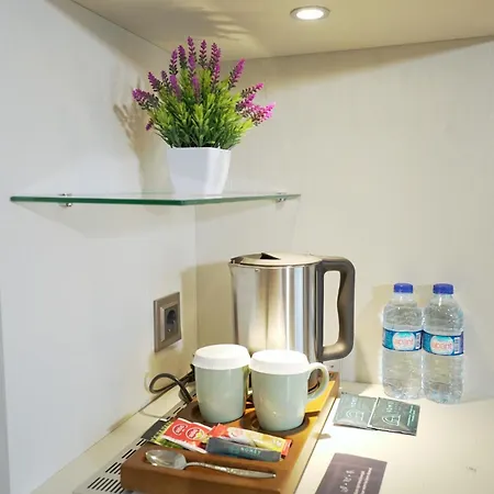 Homey Airport 4*