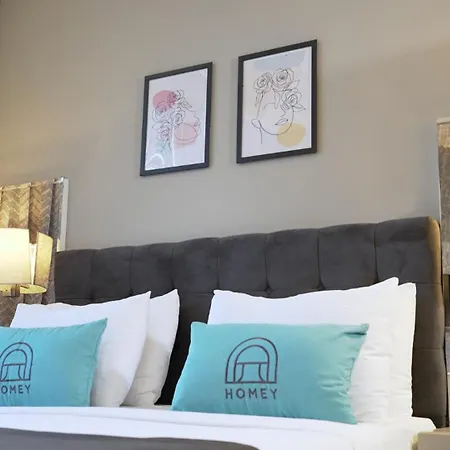 Homey Airport 4*