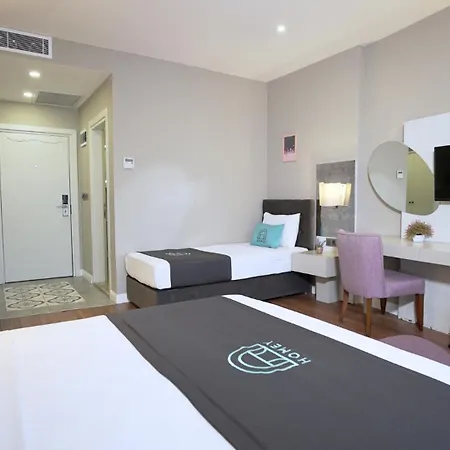 Homey Airport Hotel 4*