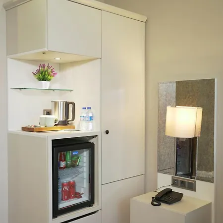 Hotel Homey Airport 4*
