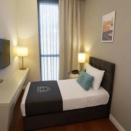 Hotel Homey Airport 4*