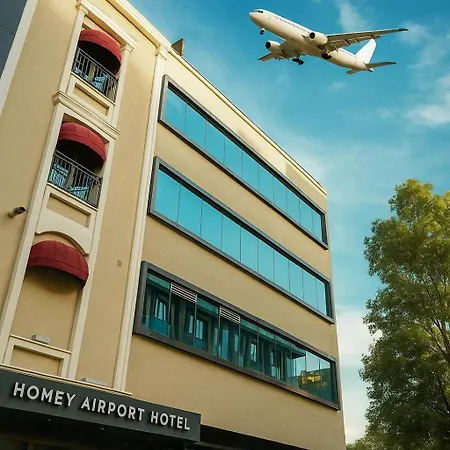 Homey Airport Hotel 4*