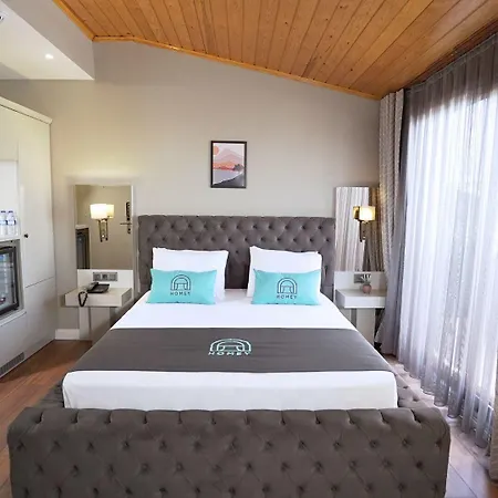 Homey Airport 4*